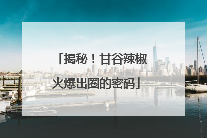 揭秘！甘谷辣椒火爆出圈的密码